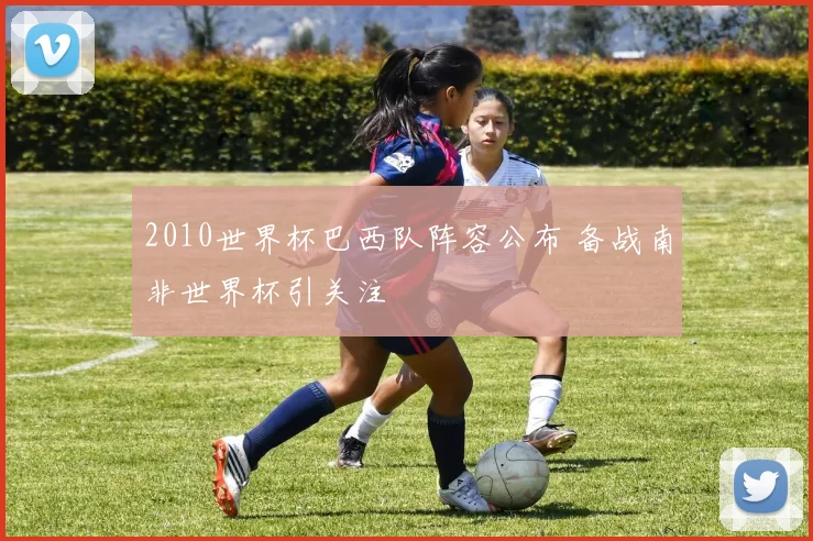 2010世界杯巴西队阵容公布 备战南非世界杯引关注