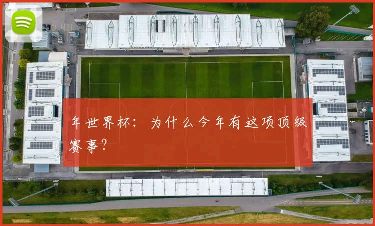 年世界杯:为什么今年有这项顶级赛事?