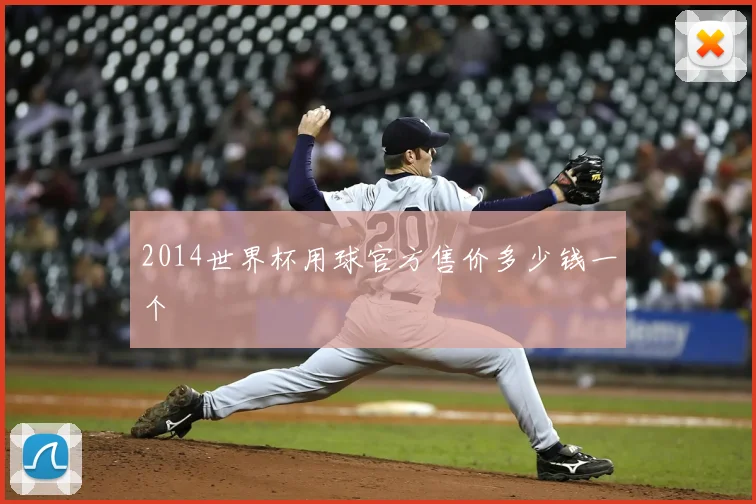 2014世界杯用球官方售价多少钱一个