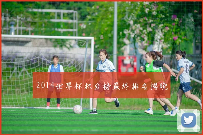 2014世界杯积分榜最终排名揭晓